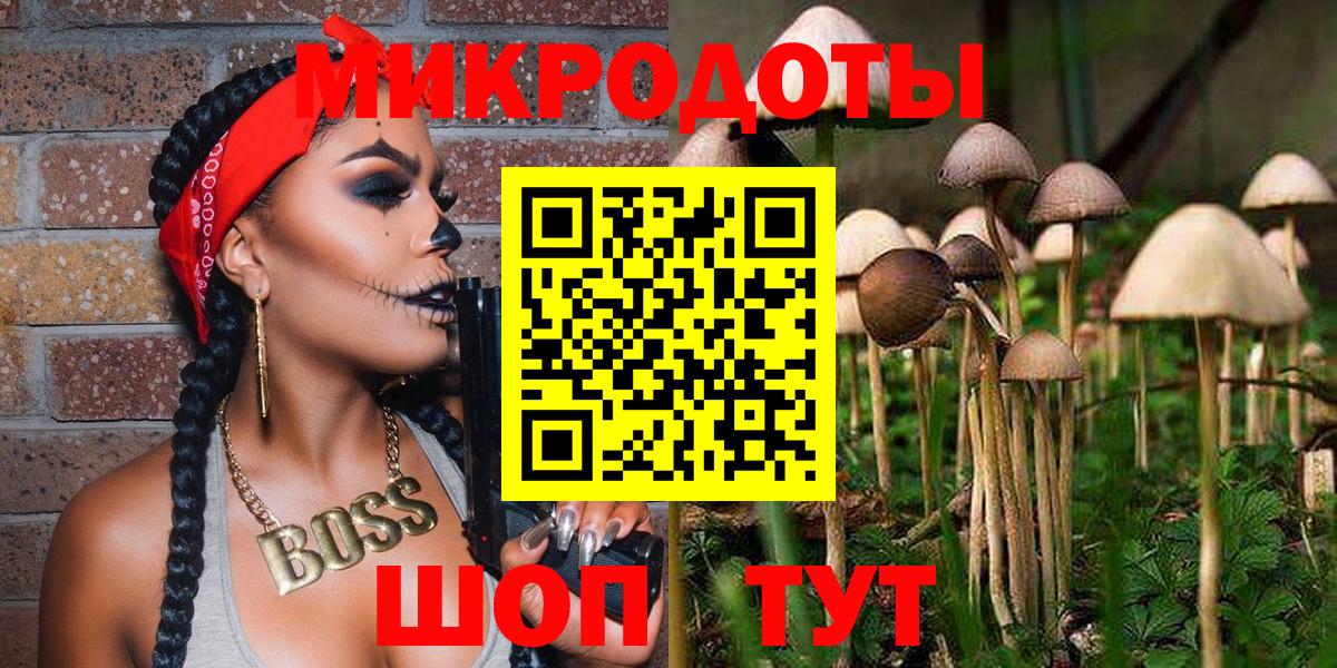 Галлюциногенные грибы Psilocybine cubensis  Вход с VPN  как найти наркотики  Псилоцибиновые грибы ЛСД  Вязьма 